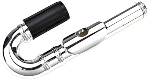 MOTHNUR Embout de Flûte Métallique Remplaçable et Manuel Accessoire Instrument à Vent pour Garçon Fille Cadeau Anniversaire Garçon Fille