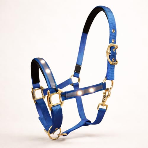 Reinecke Equestrian Premium Leuchthalfter Reflexhalfter Sicherheitshalfter Stallhalfter Weidehalfter LED-Nylonhalfter Starlight (Pony, blau/Gold)