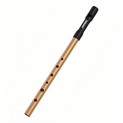 Lawnoval Irish Tin Penny Whistle Flöte/D Schlüssel mit 6 Löchern Aluminiumlegierung und ABS Volksmusikinstrument in Gold