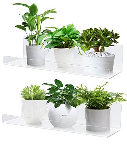 Fensterregal für Pflanzen, 30,5 cm, 2 Stück, Saugnapf, transparentes Acryl, Zimmerpflanzenregal, Fensterbank, Garten-Fensterbank-Verlängerung für Mikro-Grün-Set, Saatgut-Startertöpfe, Pflanzgefäße