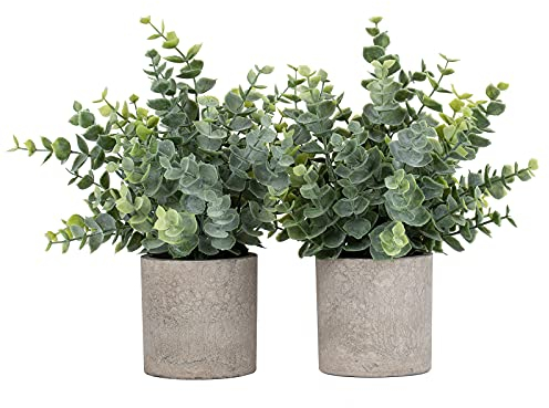 Paoripets Künstliche Eukalyptus-Topfpflanzen, kleine künstliche Pflanzen in Töpfen, künstlicher Eukalyptus, Topfpflanzen-Set für Zuhause, Regal, Dekoration, Büro, Tisch, Desktop-Dekoration, 2 Stück