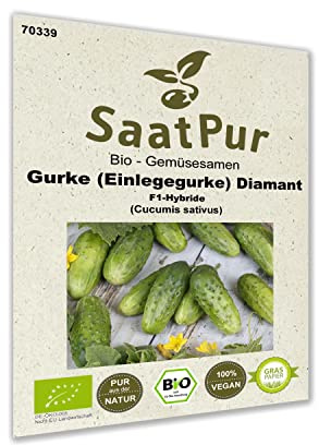 Bio Gemüse Samen Einlegegurke Diamant F1 Snacki Gurke bitterfrei Saatgut für ca. 10 Pfl.