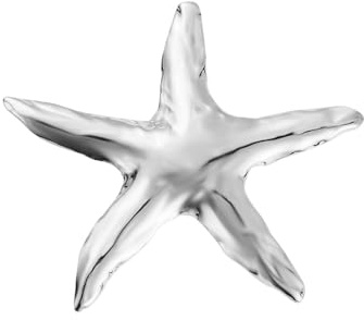 Broche Étoile De Mer Pour Femme Or Plaqué Acier Inoxydable Accessoire Élégant Pour Robe Manteau Ou Veste Cadeau Anniversaire Style Marin Plage Bijou Mode Fête De Cérémonie (Argent)