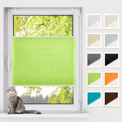 BelleMax Plissee ohne Bohren Klemmfix, Grün 100x120cm(BxH), Easyfix lichtdurchlässig Sichtschutz und Sonnenschutz, Jalousie Plisseerollo mit Klemmträger, Faltrollo für Fenster & Tür