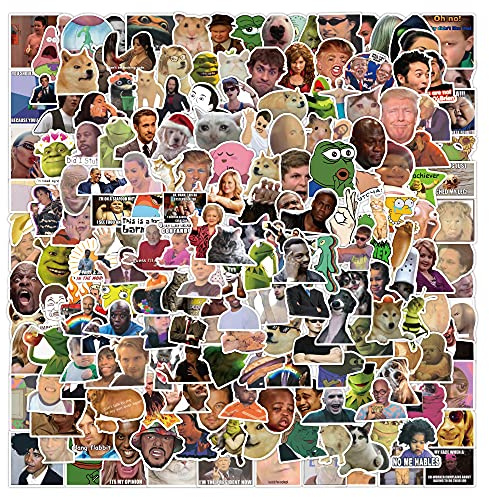 Bric Dodo Pack of 200 Meme Stickers Water Bottles Laptop Phone Guitar Skateboard Computer Suitcase Bicycle Meme Vinyl Stickers Waterproof Aesthetic Stickers for Teenagers Children Adults