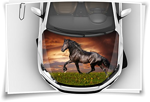 Medianlux Pferd Hengst Motorhaube Auto-Aufkleber Steinschlag-Schutz-Folie Airbrush Tuning Car-Wrapping Luftkanalfolie Digitaldruck Folierung