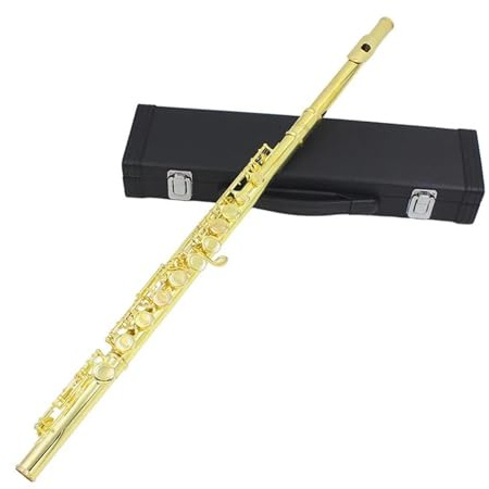 C-Flöte für Anfänger Flöte Mit 16 Geschlossenen Löchern C-Taste Flöte Für Konzertaufführungen Querflöte Mit E-Taste Spielinstrument(Golden)
