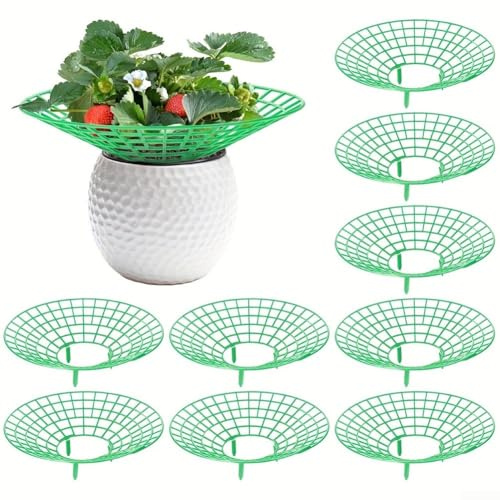 Confezione da 10 supporti per fragole, in plastica, a spirale, protezione per pomodori, fragole e maturi, per gabbia da giardino