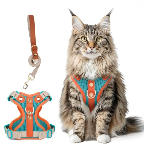Ausbruchsicheres Katzen Geschirr & Leine Set, Verstellbares Reflektierendes Geschirr mit Atmungsaktivem Mesh und Hochwertigem Leder für Katzen & Kätzchen (Seeblau + Orange, XL)