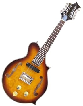 Mandolina Para Principiantes Mandolina Electroacústica Con Agujero F Para Principiantes Instrumento Profesional Para Adultos