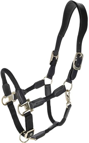 Covalliero - Halfter Cordano Deluxe FS26 – Robustes Halfter für Pferde – optimale Passform – Pferdehalfter mit Karabinerhaken & Leder-Genickriemen – Schwarz (Black) – Warmblut