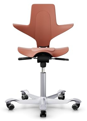 HAG Capisco 8010 Puls - Silla giratoria de oficina (cuenco: Clay, estructura: Negro)