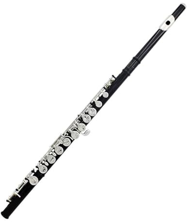 Flöte Für Anfänger 16 Löcher C-Ton-Flöte Mit E-Taste Schwarzes Holzblasinstrument Geschlossene Taste Kupfernickel-Röhrenflöte Anfänger Mit Zubehör
