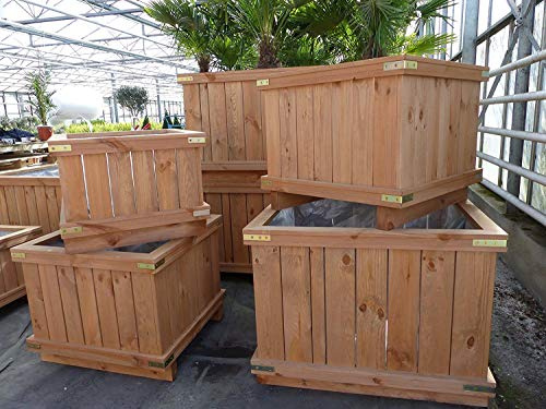 JH Grünwaren GmbH & Co. KG Holzkübel XXL Pflanzkübel Kübel Holz (120x120x65 cm)