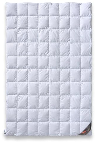 daunen-federn.de Sommerbettdecke 135x200 Premium | 100% natürliche Materialien, Atmungsaktiv, Allergiker geeignet, 100% Baumwolle, 100% Daunen Klasse 1, Made in Germany