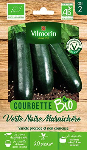 Vilmorin - Courgette Verte Noire maraîchère Bio - Variété précoce et Non coureuse -Très Productive -Semences Issues d'une Culture Conforme aux règles de l'agriculture Biologique - Croissance Rapide