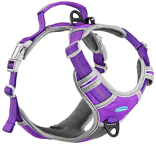 ThinkPet Hundegeschirr gegen Ziehen, atmungsaktiv, mit Griff, reflektierend, verstellbar für mittelgroße und große Hunde, Clip hinten / vorne für einfache Kontrolle, Größe M, Neonviolett