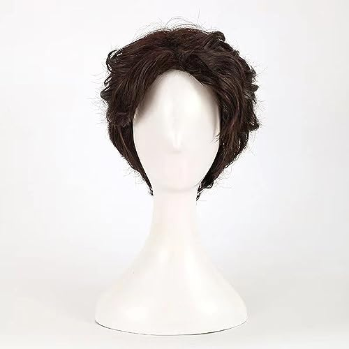 NEZIH Anime Cosplay Perücke, Rapunzel Flynn Rider Perücke, Dunkelbraunes Lockiges Haar, Mit Kostenloser Perückenkappe, Für Party Alltag Halloween Perücke, Dekoratives Geschenk