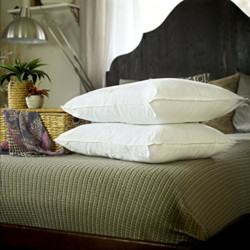 Silk Bedding Direct. Un Paio Di Cuscini Riempiti di Seta di Gelso. Lusso. 75cm x 50cm. Ipoallergenico. Certificazione: Oeko-Tex® Standard 100.