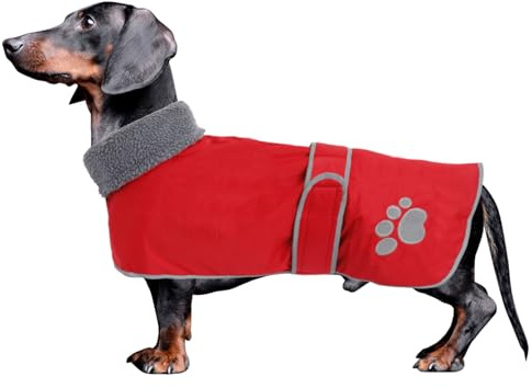 Geyecete-Abrigo Invierno Impermeable para Perro Salchicha,con Forro Polar cálido y Agujero arnés, Térmico Chaquetas Ideal para Uso al Aire Libre, Perros medianos y pequeños-Rojo-XS