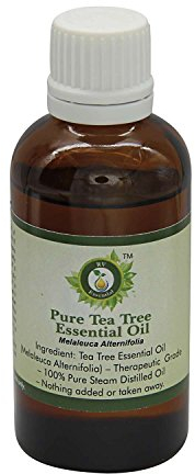 R V Essential Reines Tea Baum Ätherische Öl 50ml (1.69 Unzen) - Melaleuca Alternifolia (100% reiner und natürlicher Dampf destilliert) Pure Tea Tree Essential Oil