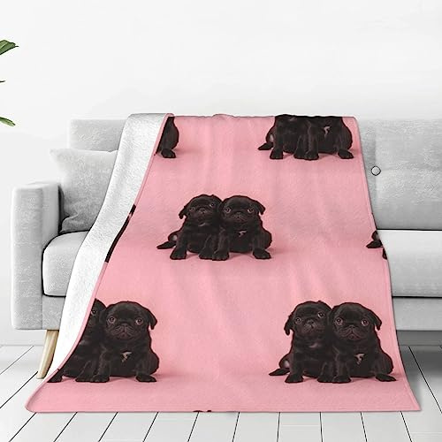 Niedliche schwarze Hunde-Waschlappen-Decke, superweicher Bezug für Sofa, Bett, Reisen, Zimmer, warm, alle Jahreszeiten, 203 x 152 x 76 cm