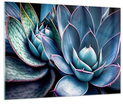 Bilder auf Glas Blumen Botanik Sukkulenten Glasbild 70x50cm Wandbilder Dekoration Wohnzimmer Schlafzimmer Küche Deko Klein Wanddeko Bild im Glas Wand Kunstdruck Art Modern Wall Decor GAA70x50-6007