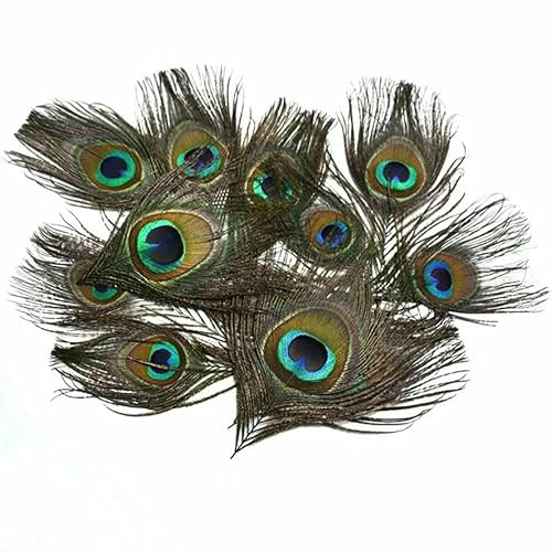 10/20 plumas de pavo real naturales, manualidades, plumas, bodas, fiestas, pelo, Navidad, joyería, accesorios de decoración