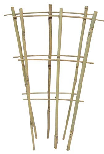 JFH Bamboo Fan Pot Trellis, Outdoor Decorative Plant Support, Weather Resistant Support Bamboo Climbing Plant Trainer (2, 110cm (3.6 foot))