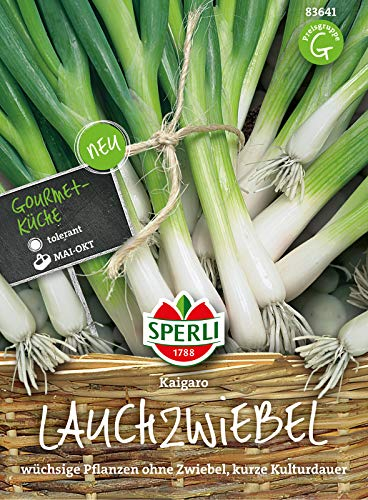 Sperli Lauchzwiebelsamen Kaigaro 83641 - Gemüsesamen für wüchsige Pflanzen ohne Zwiebelbildung und einem Inhalt für 8 bis 10 lfd. Meter - Saatgut