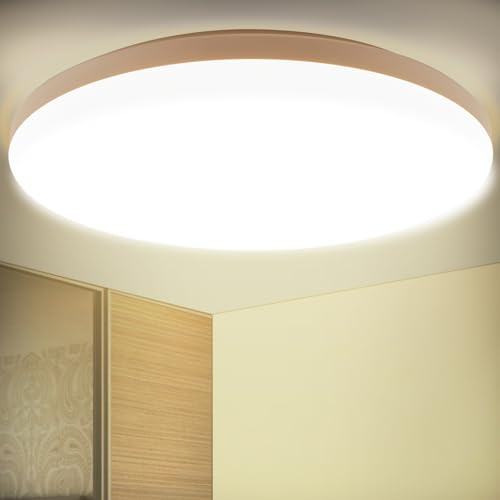 LEZOE plafonnier LED Ø30cm 18W, Luminaire 2450lm 136(Lm/W) 4000K, Lumiere Plafond Etanche idéale pour salon/cuisine/balcon/sous-sol/chambre/couloir Pas de scintillement économie d’énergie
