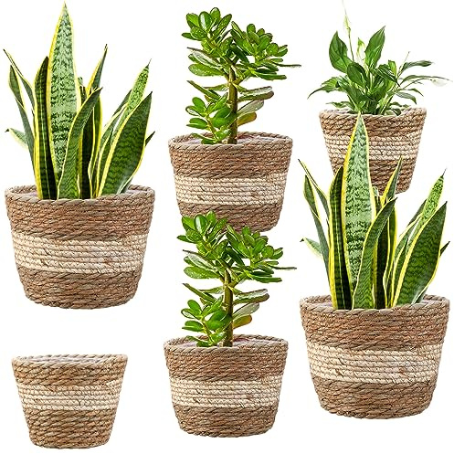 Mumufy 6 Pcs Seagrass Planter Basket Flower Pots Cover Plant Baskets Hand Woven Plant Basket Storage Containers with Plastic Liners for Indoor Outdoor Flower Pots Decoration 10, 7, 8.3 Inch(Novel)