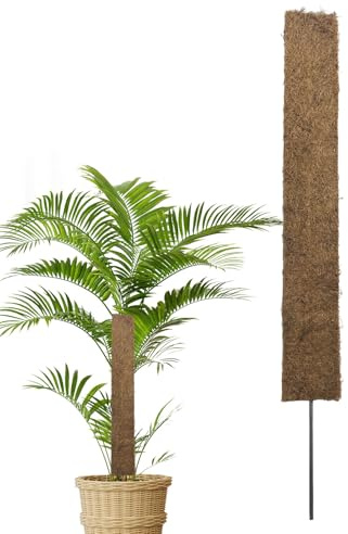 Dmuzsoih Tuteurs pour Grimpantes,Tiges Réglables pour Monstera - Poteau en Fibre de Coco | pour Débutants et Amateurs de Jardinage Intérieur et Extérieur
