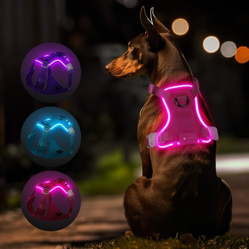 MASBRILL Hundegeschirr Leuchtend, LED Hundegeschirr Aufladbar & Einstellbar für Welpen Kleiner Mittlerer Große Hund, 3 Beleuchtungsmodi, Atmungsaktiv Leucht Geschirr für Nachtspaziergänge (Rosa S)
