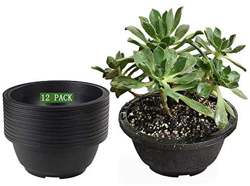 12 Pcs-pack terne poli, pots de jardin Noir/pots de crèche/conteneurs de bonsaï en forme de bol/Fower Pots avec grille Botom d'évacuation et pour les pieds pour la ventilation, M:6.3*2.76 INCH