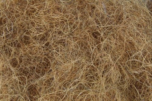 Fränkische Schlafmanufaktur 1kg Kokosfasern, Bastelbedarf, Dekoration und Nestbau
