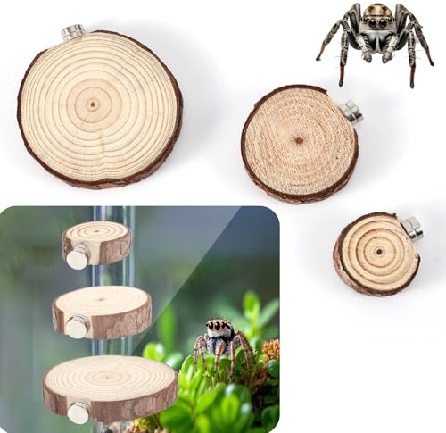 3pz Sporgenze per Recinto per Ragni Saltatori, Magnetiche Sporgenze per Recinto per Ragni Saltatori Habitat per Ragni Saltatori Accessori per Terrario Rettili (Rotonde)
