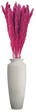 Generisch Pampasgras groß 20 Stiele Trockenblumen zum basteln Bunte Farben Trockenblumenstrauß Boho deko Trockenblumen Deko Pampasgras Pflanze echte Blumen getrocknet im Set (Pink)
