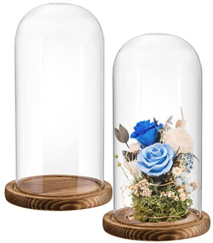 Mezchi Confezione da 2 campane in vetro da 25,4 cm, grandi, decorative, con base in legno marrone scuro, per piante, medaglie, foto, oggetti da collezione antichi, festa della mamma