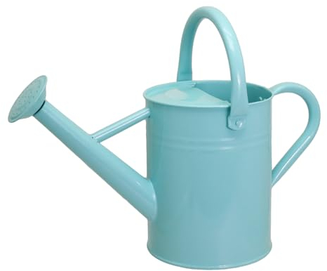 Lechloris Metall-Gießkanne für Outdoor-Pflanzen, verzinkter Stahl, Gießkanne mit abnehmbarem Ausguss für den Innen- und Außenbereich, perfekt für Gartenblumen, Zimmerpflanzen, Minze