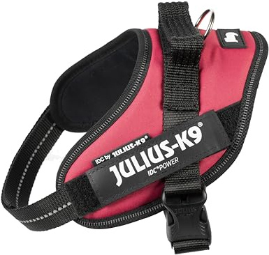 IDC Powergeschirr, S, Viva Magenta - Reflektierendes Hundegeschirr mit Logo-Feld, verstellbar, atmungsaktiv, Bewegungsfreiheit, Oeko-TEX Zertifiziert, für kleine, mittlere & große Hunde