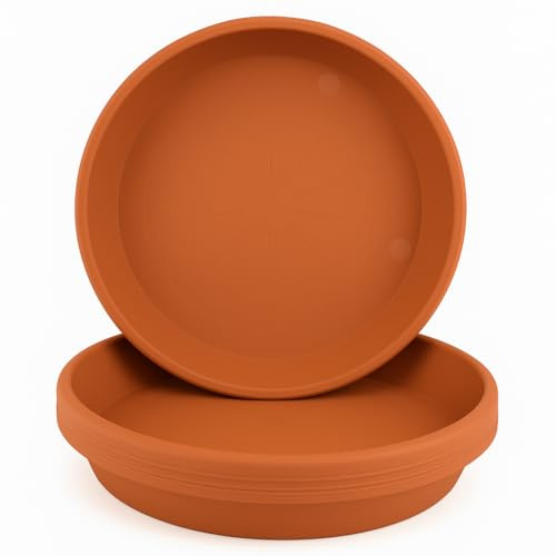 Home Garden Ornaments Soucoupe Pot Fleur 18.5cm Diamètre Marron Clair Lot de 5 - Durable Soucoupe Ronde - Soucoupes pour Pots de Fleurs - Soucoupe Pot de Fleur Interieur (Marron Clair)