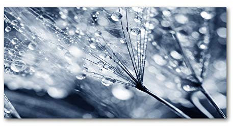 Tulup Leinwandbild - Wandkunst - Drucke auf Leinwand - Leinwanddruck -100x50 cm - Blumen & Pflanzen - Grau - Pusteblume
