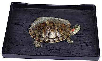 HANABASS Reptiliennapf Großer Futter Und Wassernapf Aus Robustem Kunststoff Mit Naturnaher Holzmaserung Für Schildkröten Baden Und Trinken Haustierbedarf Größe l Schwarz