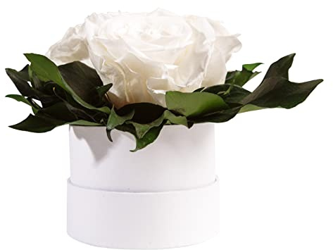 Rosemarie Schulz Heidelberg Roslåda blomlåda vit rund konserverade rosor – 3 evighetsrosor blomma gratulationspresent för kvinnor modern medium vit