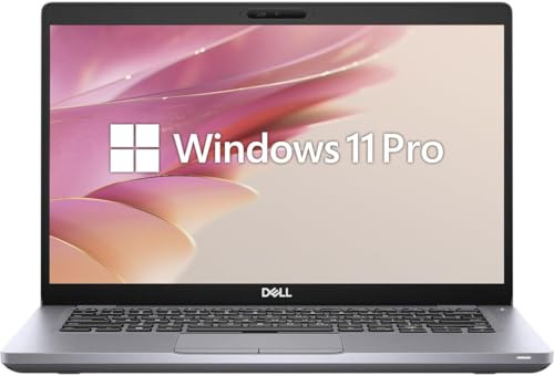 Dell Latitude 5410 - Ordenador portátil profesional, 14 FHD (1920 x 1080), Intel Core i5-10210U, 8 GB de RAM, SSD de 256 GB, teclado QWERTY estadounidense, Windows 11 Pro (reacondicionado)