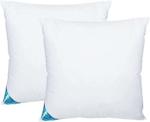 Sandaro Home Kopfkissen 80x80 2er Set | Federkissen 80 x 80 cm mit 100% natürlichen Federfüllungen, Federkopfkissen 80x80 Set mit Gänsefedernfüllung im Baumwollbezug, Öko-Tex Zertifiziert (2000)