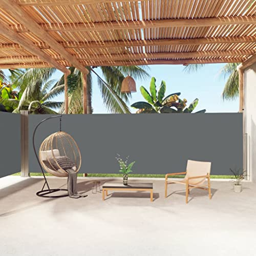 puraday 180x1000 cm Seitenmarkise Ausziehbar Anthrazit Terrassen-Sichtschutz Stilvolle Seitenmarkise Sichtschutz Balkon Seitenwand Wind- Und Sonnenschutz Sichtschutz Und Einfache Installation