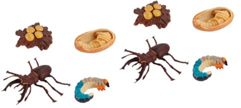 ifundom 8 STK Wachstumszyklus Spielzeug kognitives Spielzeug Lernen Kinderspielzeug Spielzeug für Kinder Toys Ornament Spielzeuge Simulationsinsektenmodell Insektendekoration Tier Abs