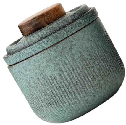 CIYODO Service à Thé Portable Filtre Facile à Utiliser Vert en Céramique Tasse à Thé de Voyage 1 Set Complet Accessoires Pratiques pour L'Extérieur